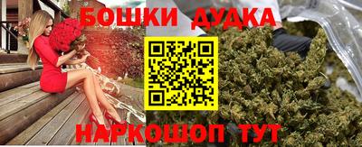 гидра Дубна