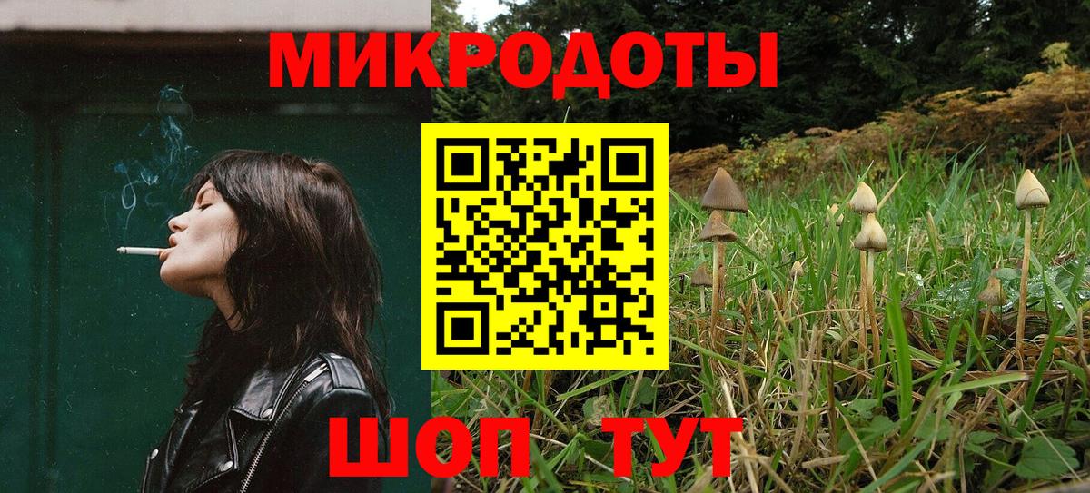 Гатчина  цена   Вход с VPN  Галлюциногенные грибы Psilocybe 